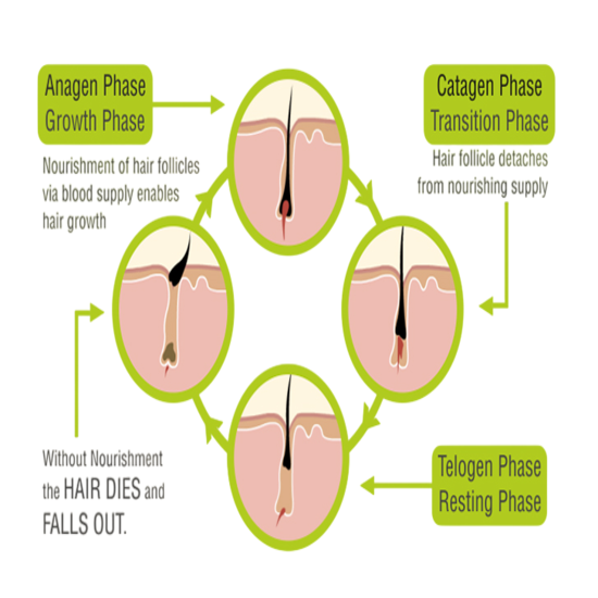 Racine Pro Hair Serum, 30ml